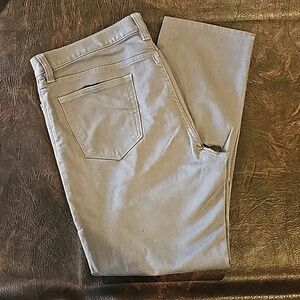 Banana Republic Traveler Pant